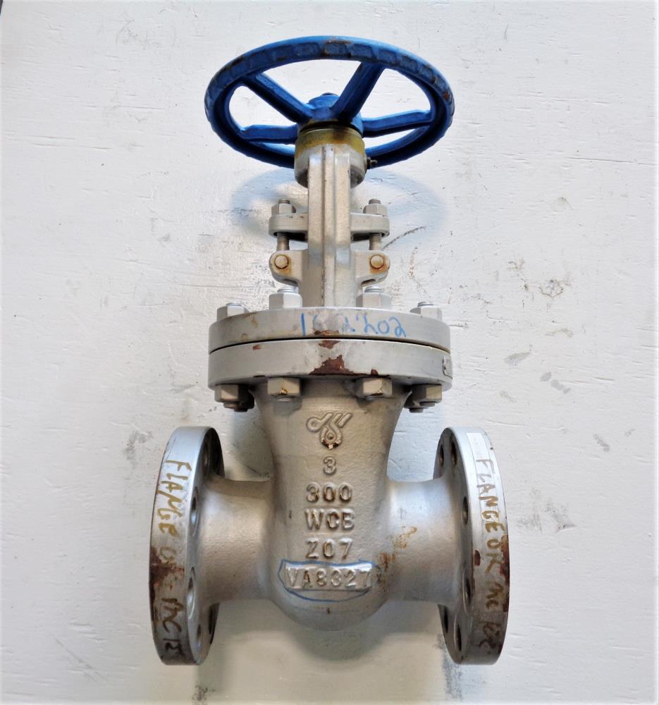 DSI 3" 300# WCB Gate Valve 23XUF